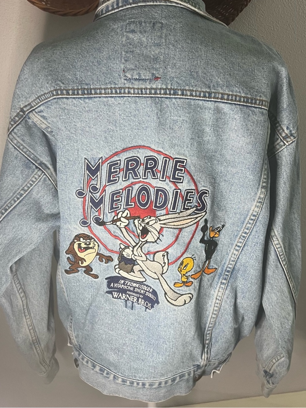 Vintage 90s Looney Toons Merrie Melodies Embroidered Denim Jacket Size S Warner